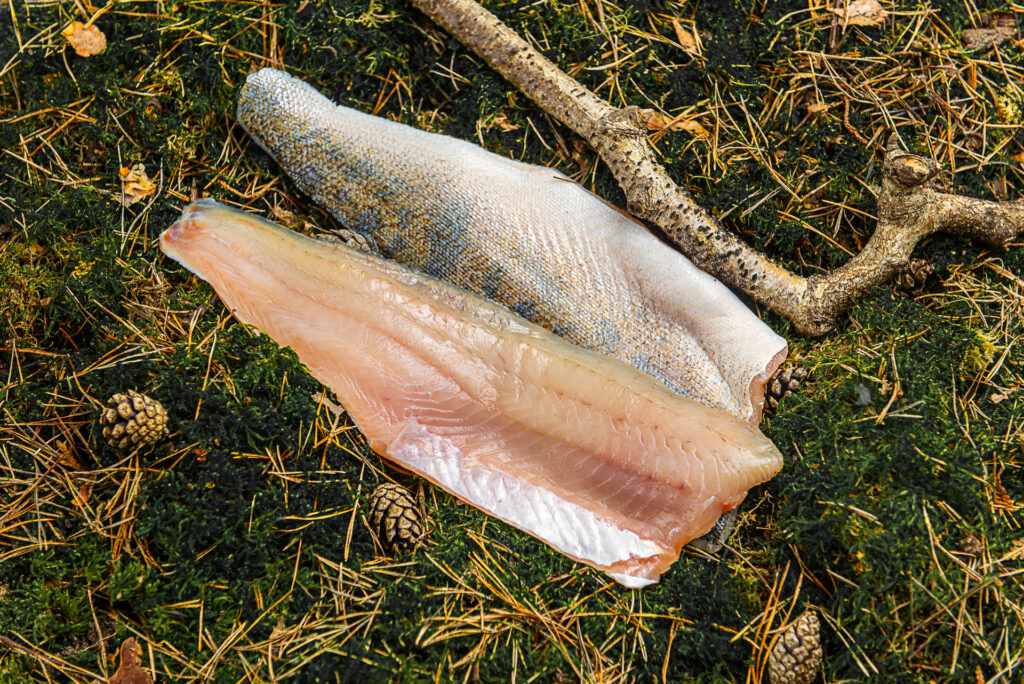 paadivennad_product21